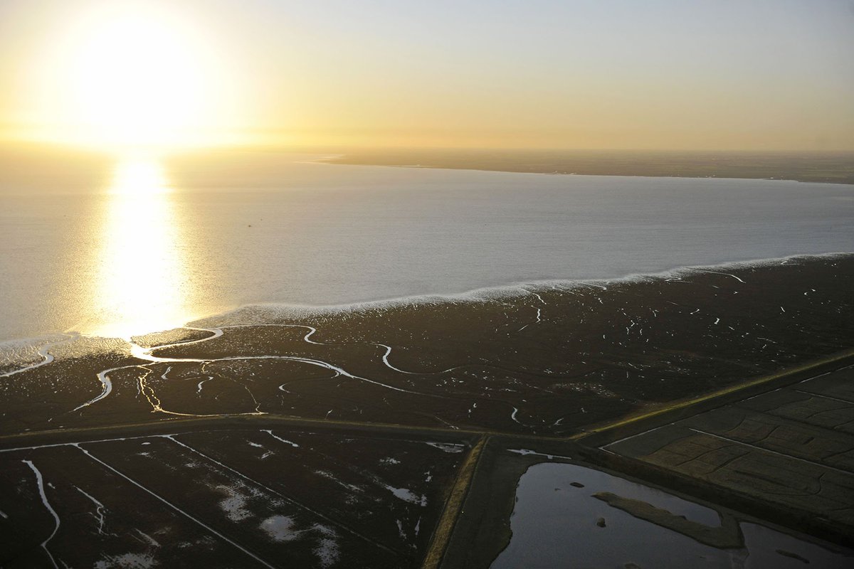 commission_air's tweet photo. Good Morning All #aerialphotography #sunrise #RiverLynher #TheWash #EarlyBird #RiseandShine #MondayMotivation #sunny https://t.co/P0sBXsN8JM