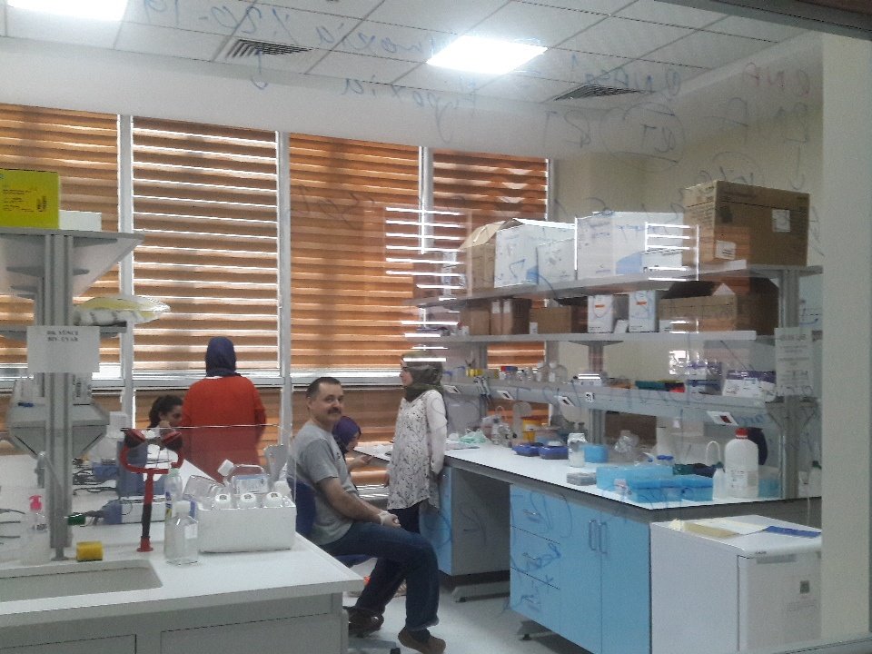 Senpai ve Kohai çekirgeler Çilek Lab'da çalışmaya başladı 😊