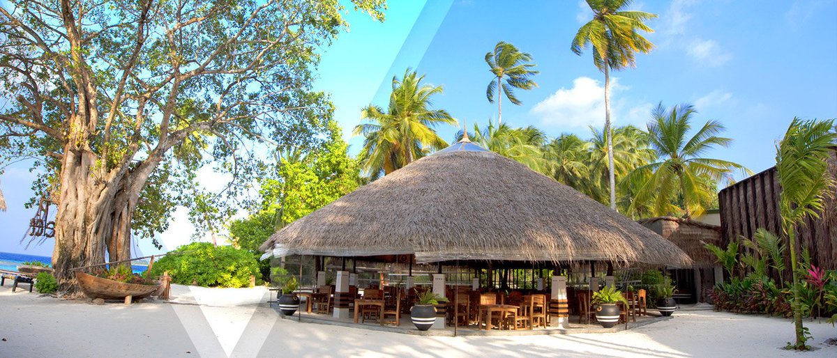 DiscoverNations's tweet photo. Veeru – Main Restaurant! #aaaVeee #Maldives

https://t.co/XbaZQNFBuq https://t.co/zPzrsVBRmx