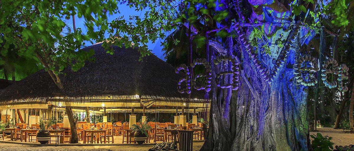 DiscoverNations's tweet photo. Veeru – Main Restaurant! #aaaVeee #Maldives

https://t.co/XbaZQNFBuq https://t.co/zPzrsVBRmx