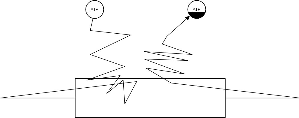dagmarwaltemath's tweet image. @SemsProject meeting /w intro to SBGN-ED by @Vasundra_T /w @binfalse (Note: SBGN-ED can do better than this ;-))