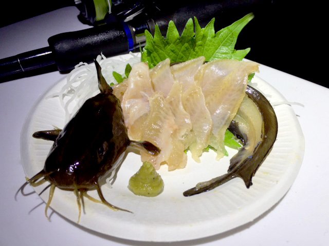 残酷だの不謹慎だのを過剰に気にしていたら、世界からの目が気になって活け造りもできないのですpic.twitter.com/rakGA5YKis