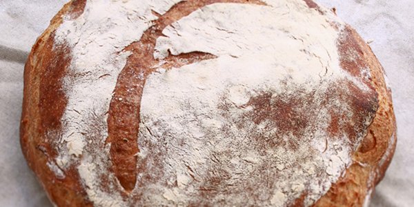 [#LesFromentiers] Depuis des générations, <a href="/LesFromentiers/">Les Fromentiers</a> sont des spécialistes du pain... bit.ly/28IpAlO