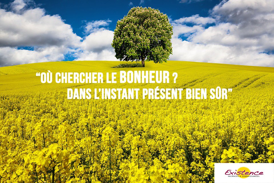 Existence_fr's tweet image. Beau début de semaine à tous #instantprésent #developpementpersonnel #santé #bienetre