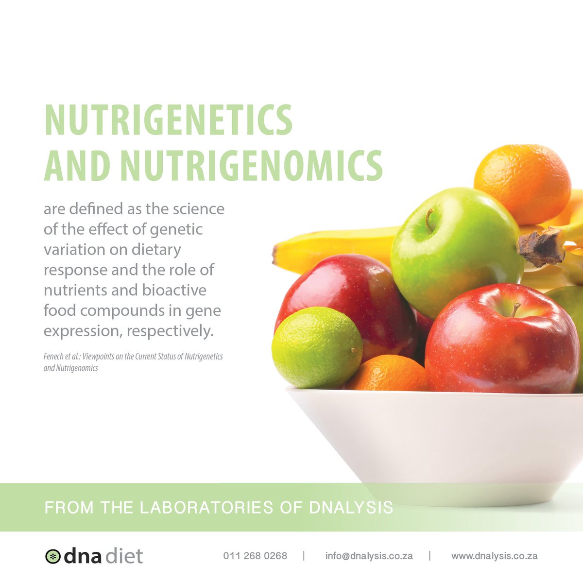 dnalysis's tweet photo. Nutrigenetics and nutrigenomics.

#dnalysis #dnadiet https://t.co/DcIvnoqy8i