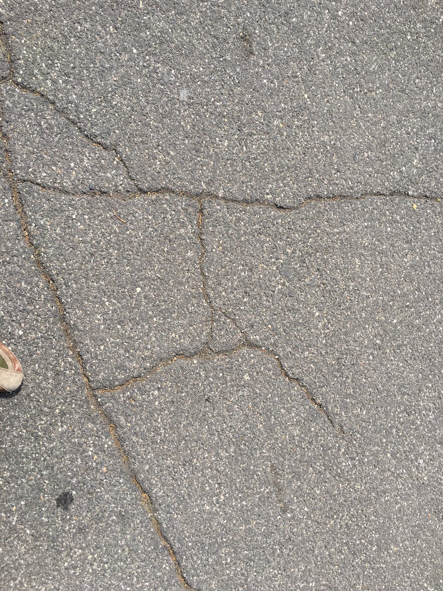 Doctor_Cinnamon's tweet photo. When you recognize Feynman diagrams in the cracks of the pavement #Physics24/7 https://t.co/kr5kioLfGK