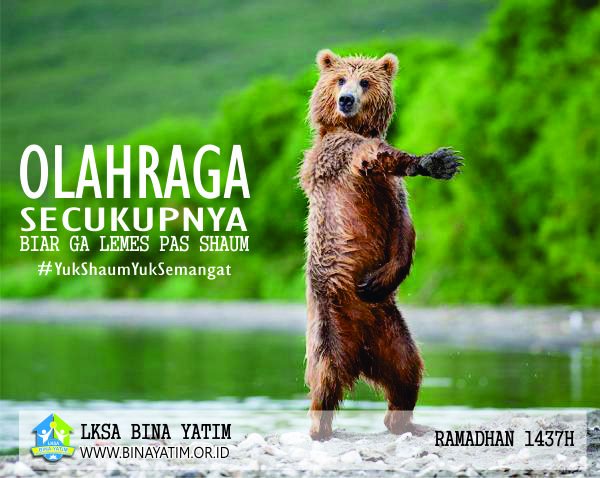 Hilman F (@hilmanf1) on Twitter photo 