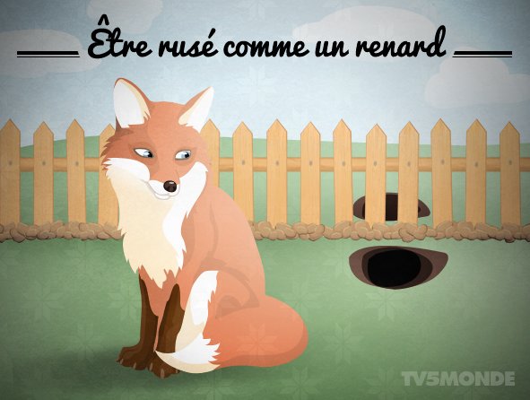 Tv5monde Japon Al Twitter フランス語表現 動物 Etre Ruse Comme Un Renard 直訳 キツネのようにずる賢い 意味 非常にずる賢いこと T Co W9yxsq5gga Twitter Tv5monde Japon Al Twitter フランス語表現 動物 Etre Ruse Comme Un Renard 直訳 キツネのようにずる賢い 意味 非常にずる賢いこと T Co W9yxsq5gga Twitter