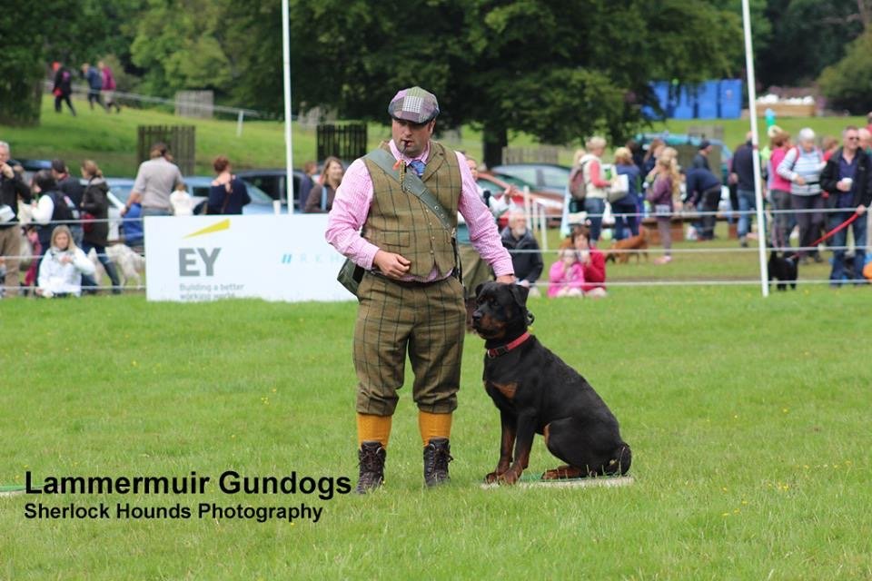 <a href="/HopetounTrials/">Hopetoun HorseTrials</a> <a href="/CSJDogFood/">CSJ Dog Food</a> Marshall my Rottweiler in our gundog display