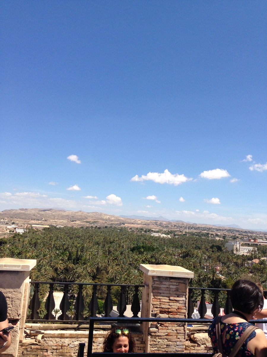 Sicted Alicante tweet media