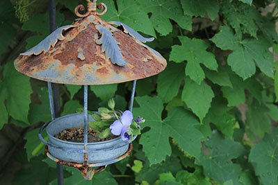 The secret garden spots, the key to a perfect garden ? tinyurl.com/hgkvyew  #garden #gardening #photography