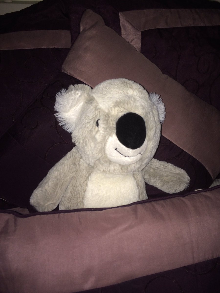 vinnerz_'s tweet photo. When u wake up and realize ur life is shit #spongebobmeme #koalameme https://t.co/v5gQId03jk