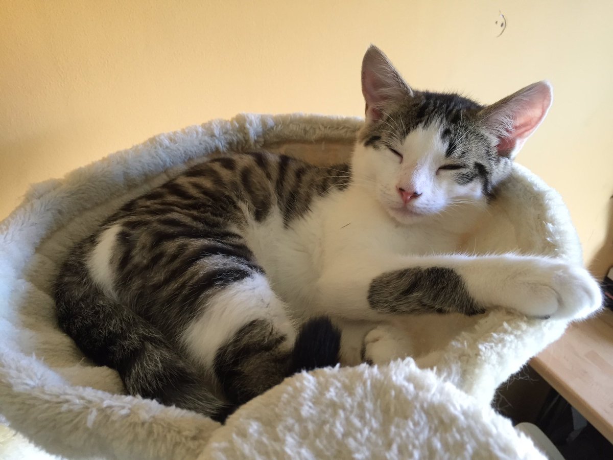 Simon Massey tweet media