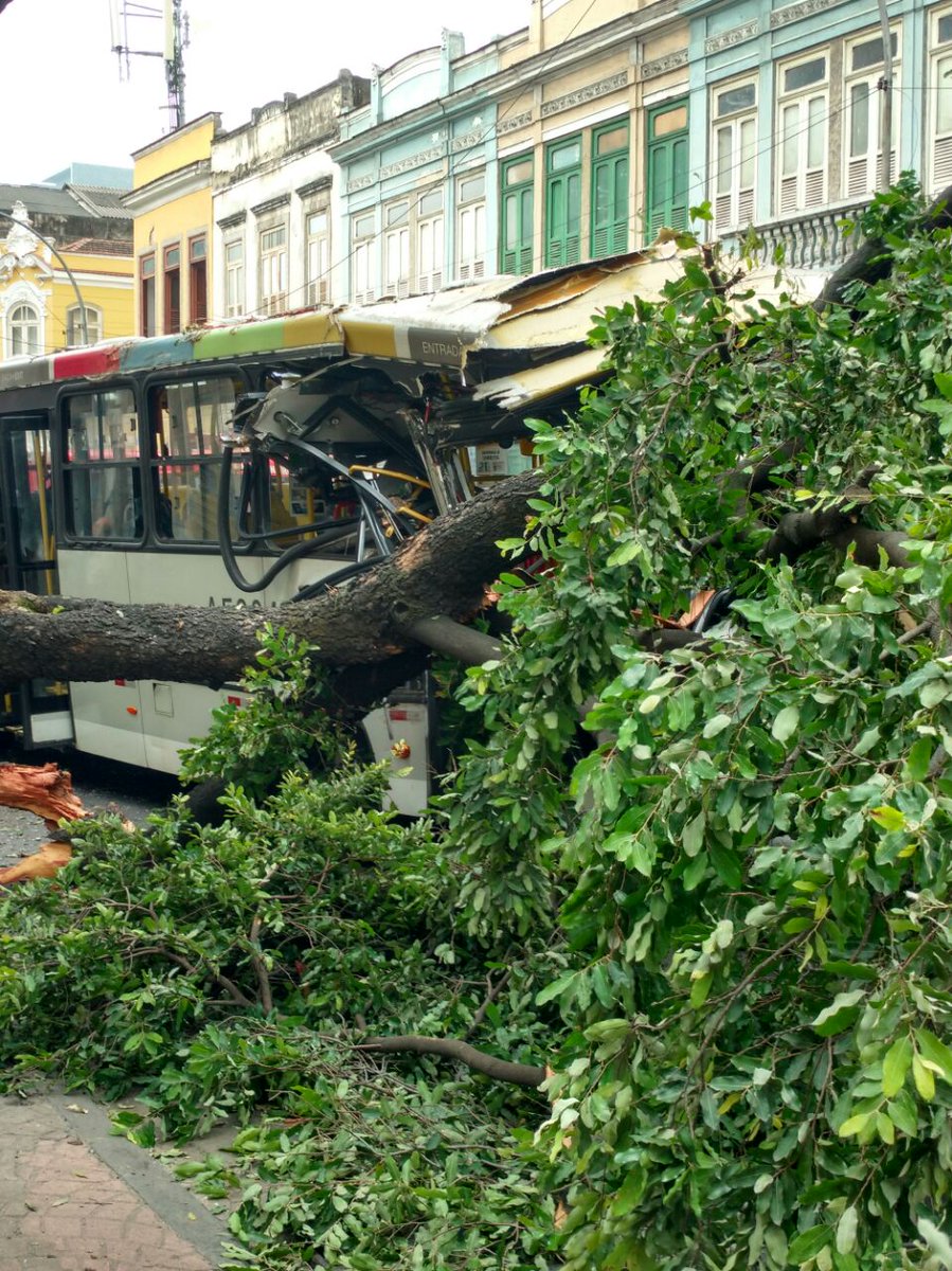 O ouvinte Luis Marcos enviou a foto de um ônibus que ficou destruído após bater em uma árvore, na Rua Frei Caneca.