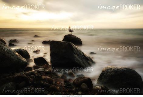 imageBROKER's tweet photo. A stretch of coast near Ahrenshoop, Fischland, Germany © imageBROKER / Helmut Hess #imageoftheday https://t.co/YuirCRJytI