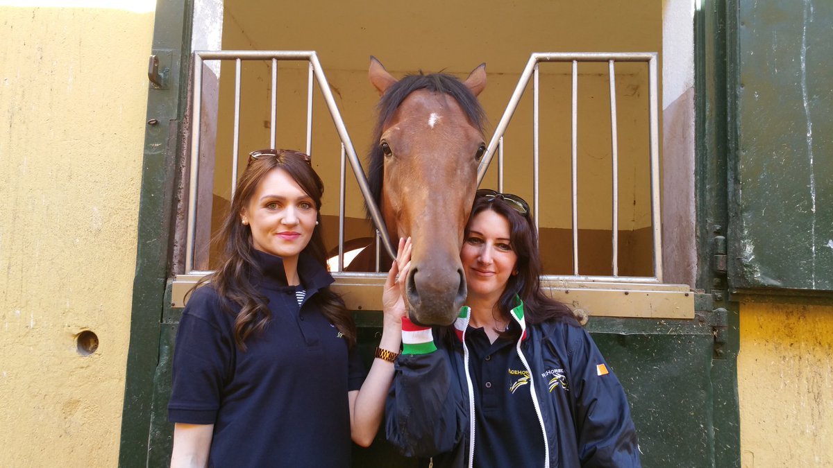 MagdaRodighiero's tweet photo. @WLSBloodstock and @cpfbusiness in Varese racecourse today https://t.co/5MEZSVEdTF