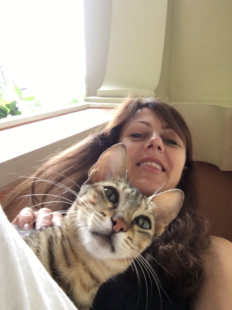Turning_Vegan's tweet photo. Does anyone want to give a home to this #beautiful little young #cat in #goa #india I've found her in a hotel https://t.co/emZ9hUHzCR