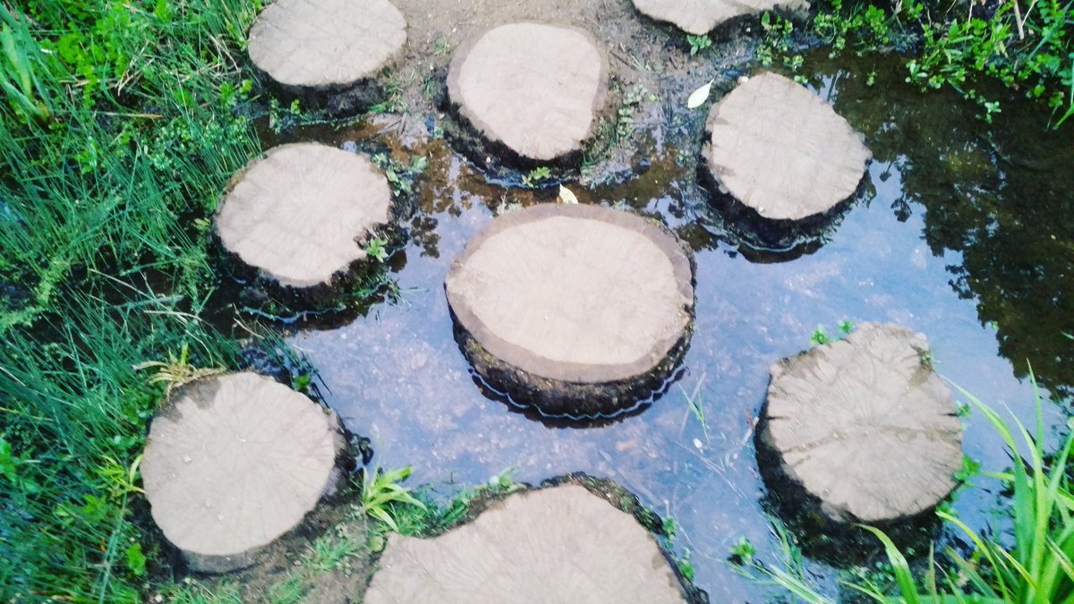 whatgetsmehappy's tweet photo. #hopscotch #wood #watercrossing #greenery #nature #peace #tranquility #meditation#richmondpark#walks #fun#happiness https://t.co/e4tTzXqTl6