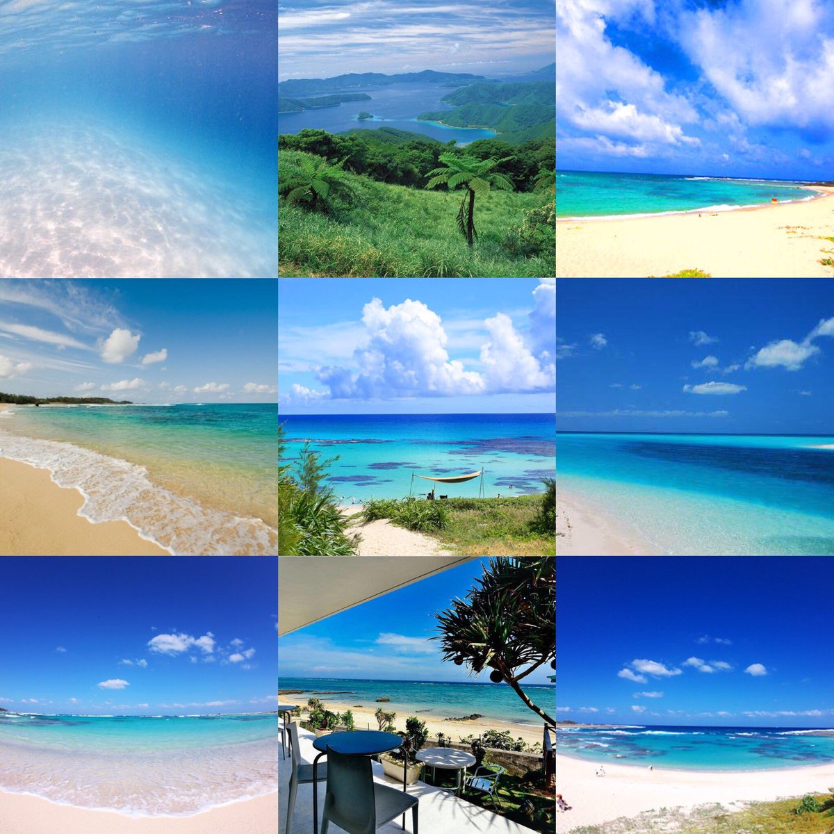 _ken_ken_555's tweet photo. 東洋のガラパゴス
奄美大島（鹿児島）🌺
#行ってみたい人RT 
#海 #拡散希望 
#この夏行きたい #鹿児島 https://t.co/WJd9WVgx6D