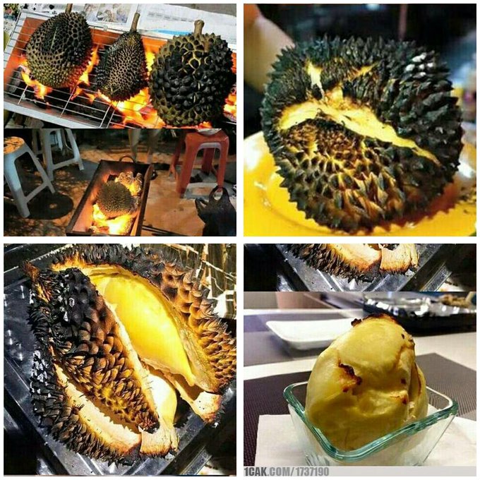 Download 540 Koleksi Gambar Durian Bakar Keren Gratis HD