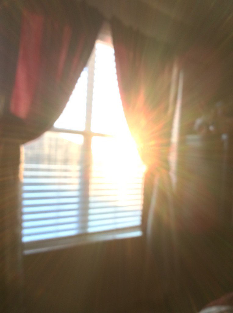 lourdes4556's tweet photo. Good morning https://t.co/0DXOaZ53SO