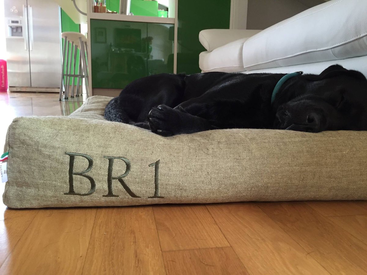 Tailorsden's tweet photo. Bruno is taking a nap on it's new personalized #dogbed. 
Visit https://t.co/dN3leaWknb  #Dogbeds #NotJustForDogs https://t.co/Ou1mWQ6lks