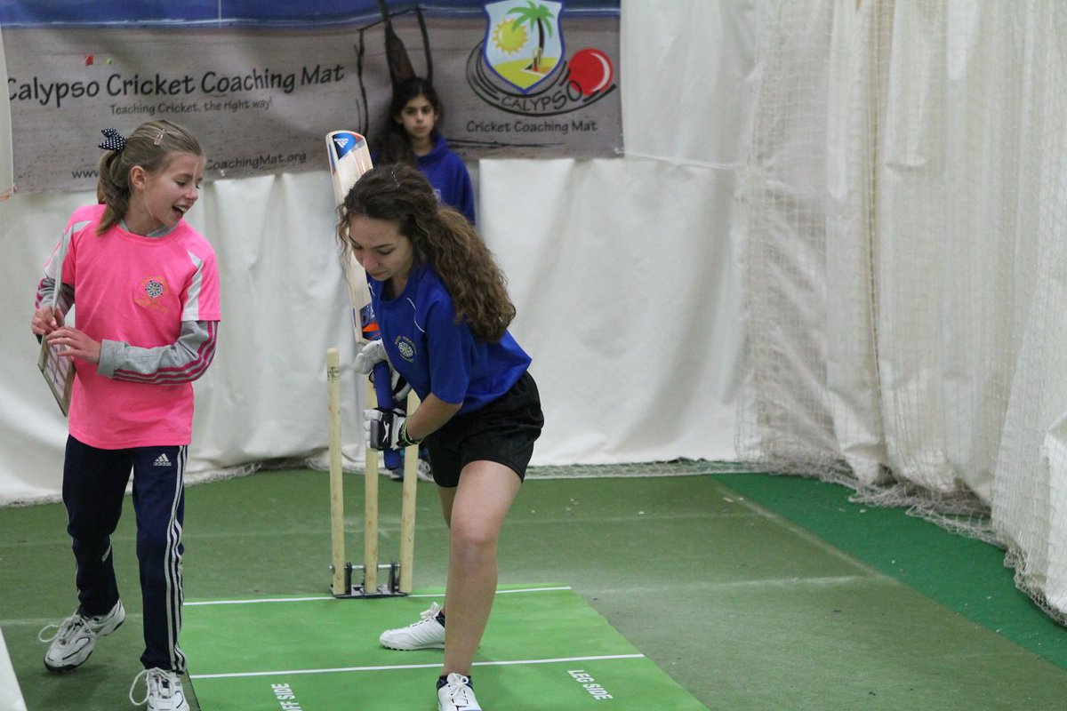 Calypso Cricket tweet media