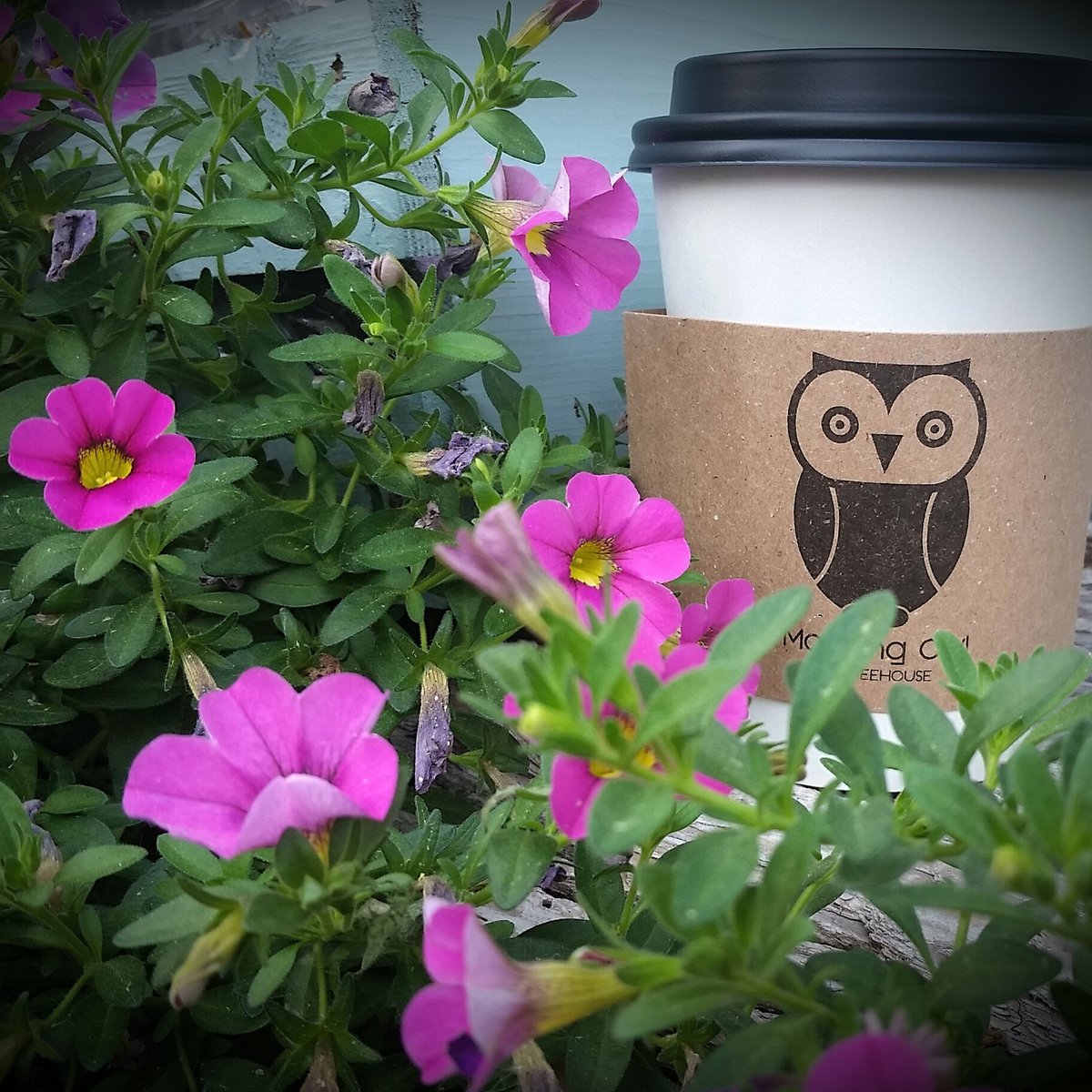 It's #PollinatorWeek - let's start w <a href="/Morning_Owl/">Morning Owl</a> Nut #Honey #latte!  #HoneyAddict #CoffeeAddict #2birdswith1stone
