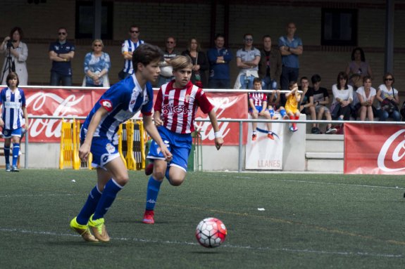 C.D. LLANES tweet media