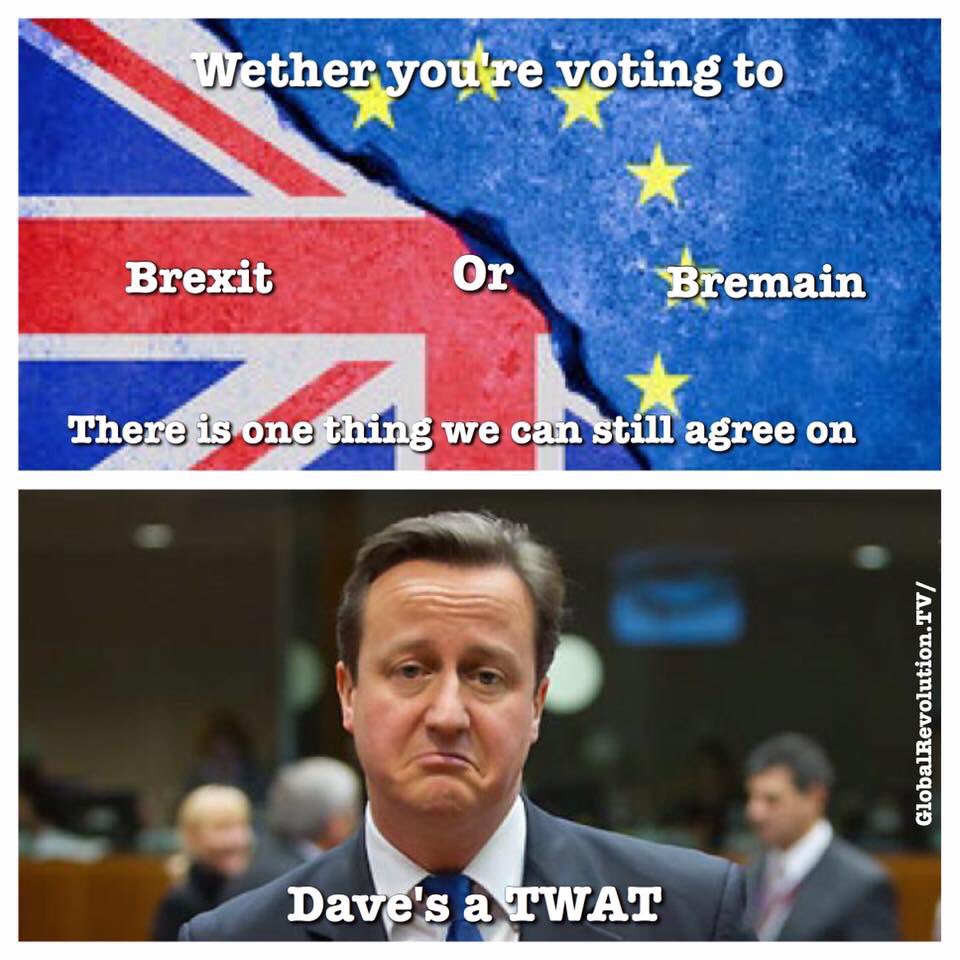Global_Revolt's tweet photo. Whether you are voting to Brexit or Bremain there is one thing we can still agree on... 😂😂 https://t.co/ZaeLzdUmtn