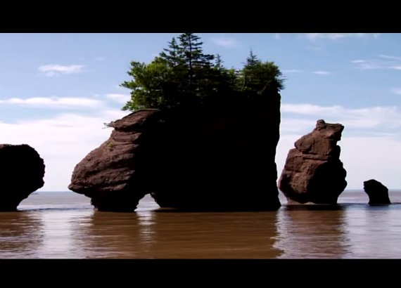 U_LocaliZ's tweet photo. #Canada #NewBrunswick #BayofFundy on video - #U_LocaliZ #TravelInspiration https://t.co/TEe2TkSFj3 https://t.co/uH1FVTyzhs