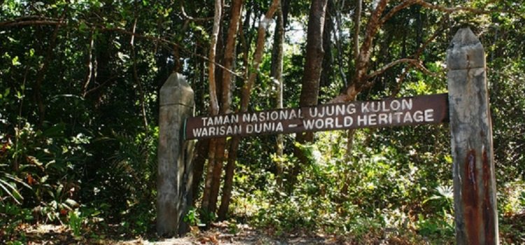 JatengPos's tweet image. Mudik ke Banten? Deretan Pantai Menuju Tanjung Lesung dlvr.it/Lc8cV5