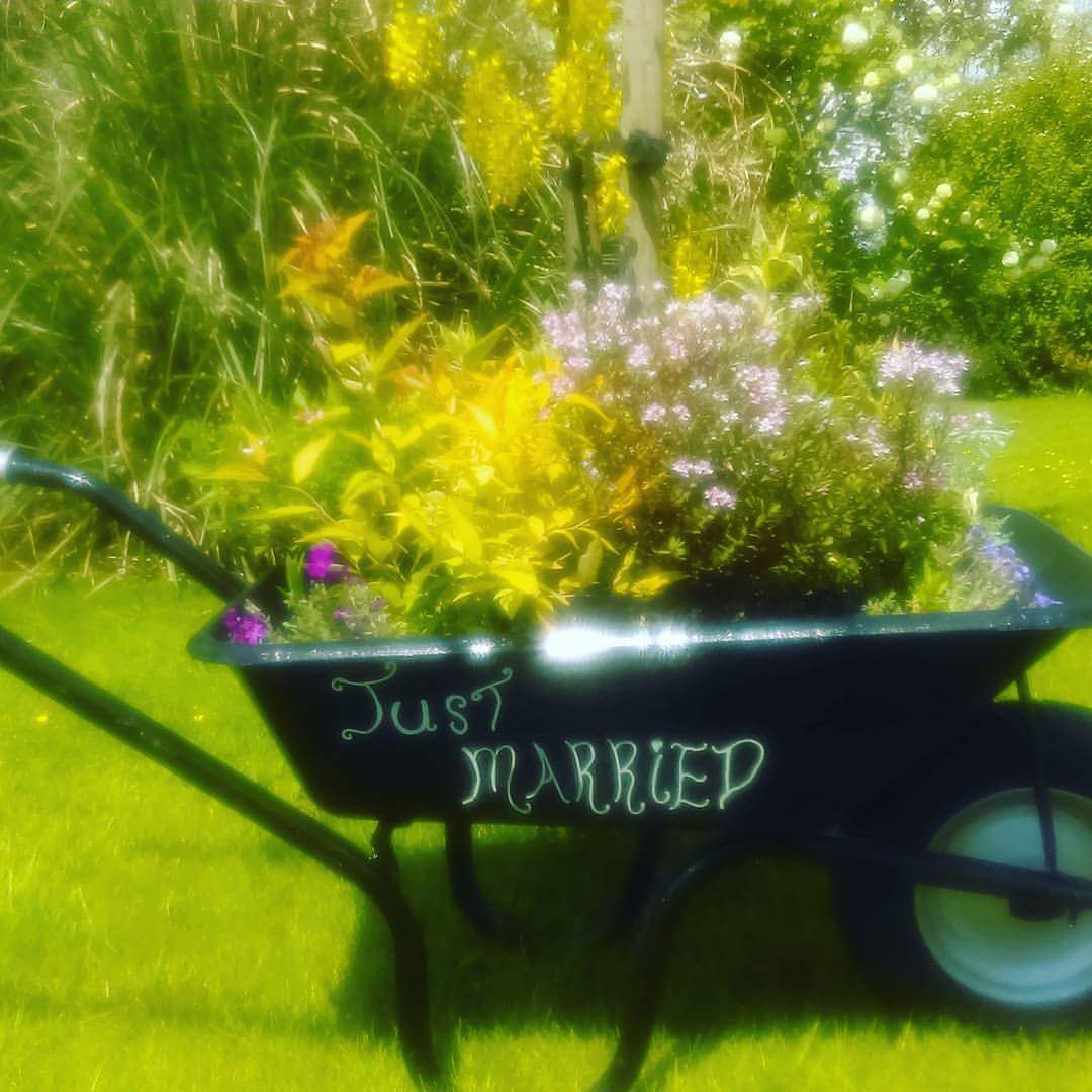 AnnieRuffles's tweet image. Hello Monday! #Vintage #prophire #eventstyling #specialoccasion #civilceremony #christening #Limerickhour #clarehour