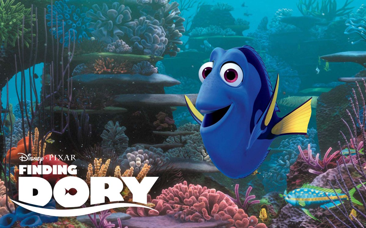 CapitalRegionRC's tweet photo. @findingdory CRUSHED it at the box office this weekend! AND the movie is #smokefree :)

#happysummer https://t.co/PyvcNH7Zqt