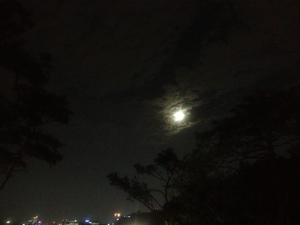 초여름 달밤