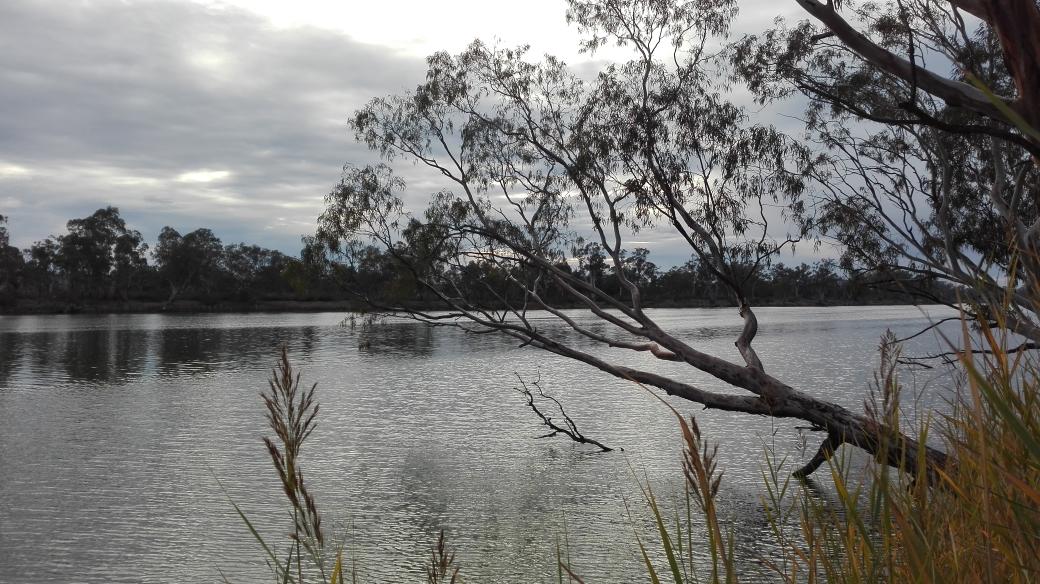 #Murray #River #freecamping