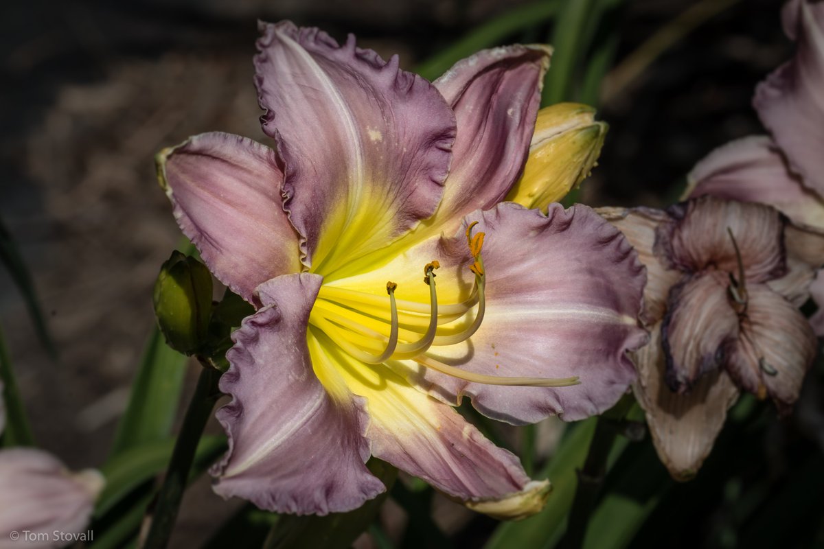 lightlifeimages's tweet photo. These are the days I love best! #SummerStartsNow #NOVA_Parks #NVRPA. https://t.co/0rc5PvmpnU