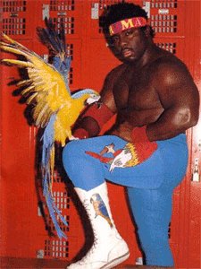  Wishing Koko B. Ware a very Happy 60th Birthday today! *does The Bird* 
