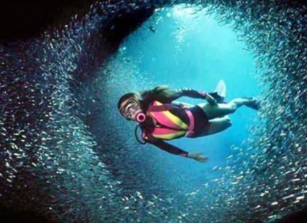 korangala's tweet image. Indonesia Raih The Most Beautiful Diving Destination dlvr.it/LcDBL8