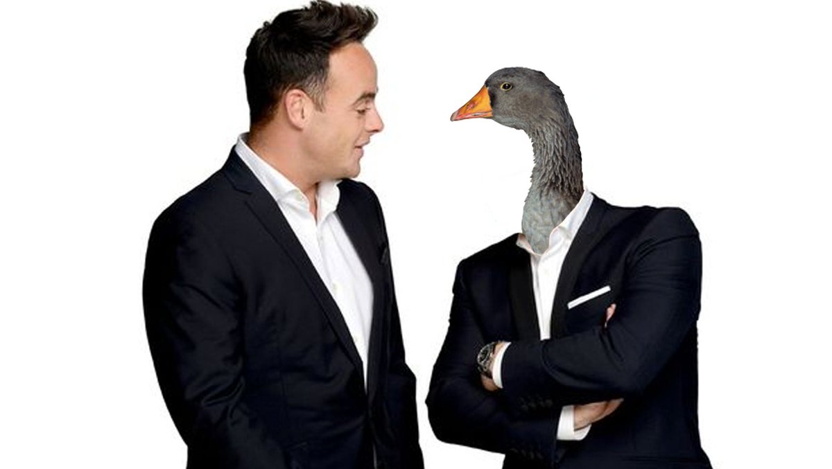 AntAndDuck's tweet photo. https://t.co/7zXkTP168Q