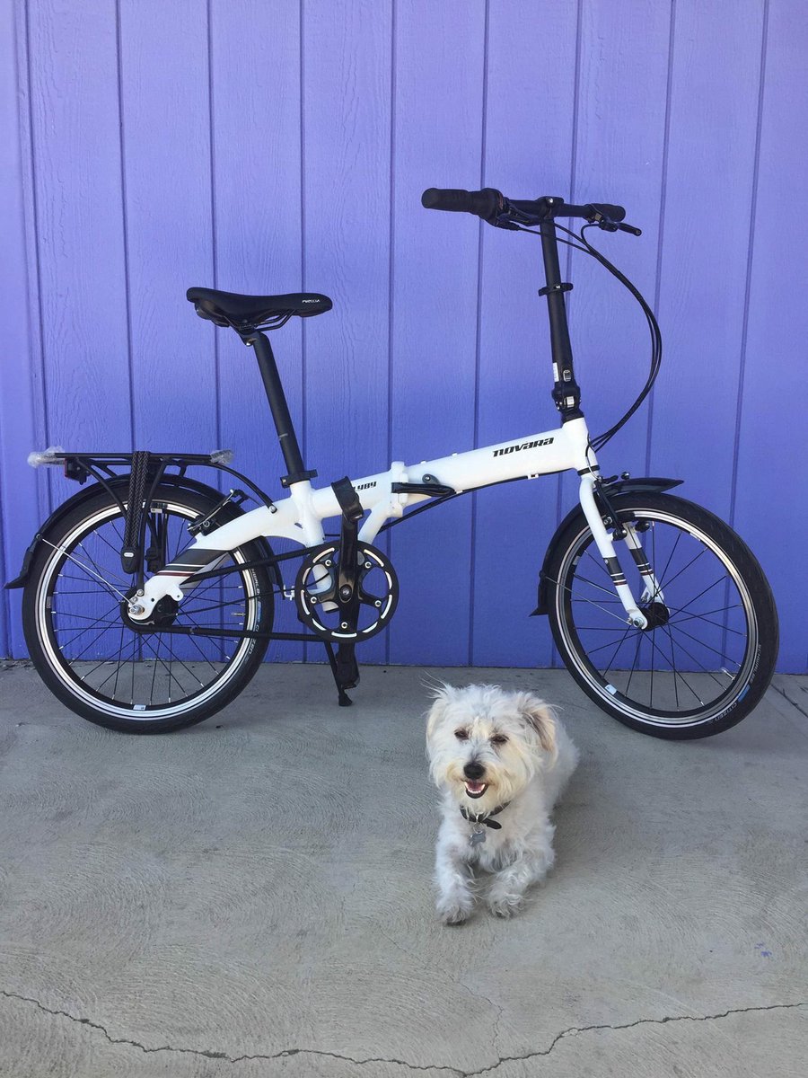 ActiveSGV's tweet photo. #FREE raffle at #626GoldenStreets  open thx to REI! So. Pasadena 6/26-8am https://t.co/mtqEO2p0WE #bikeLA @BikeMetro https://t.co/9lxd6nK9MG