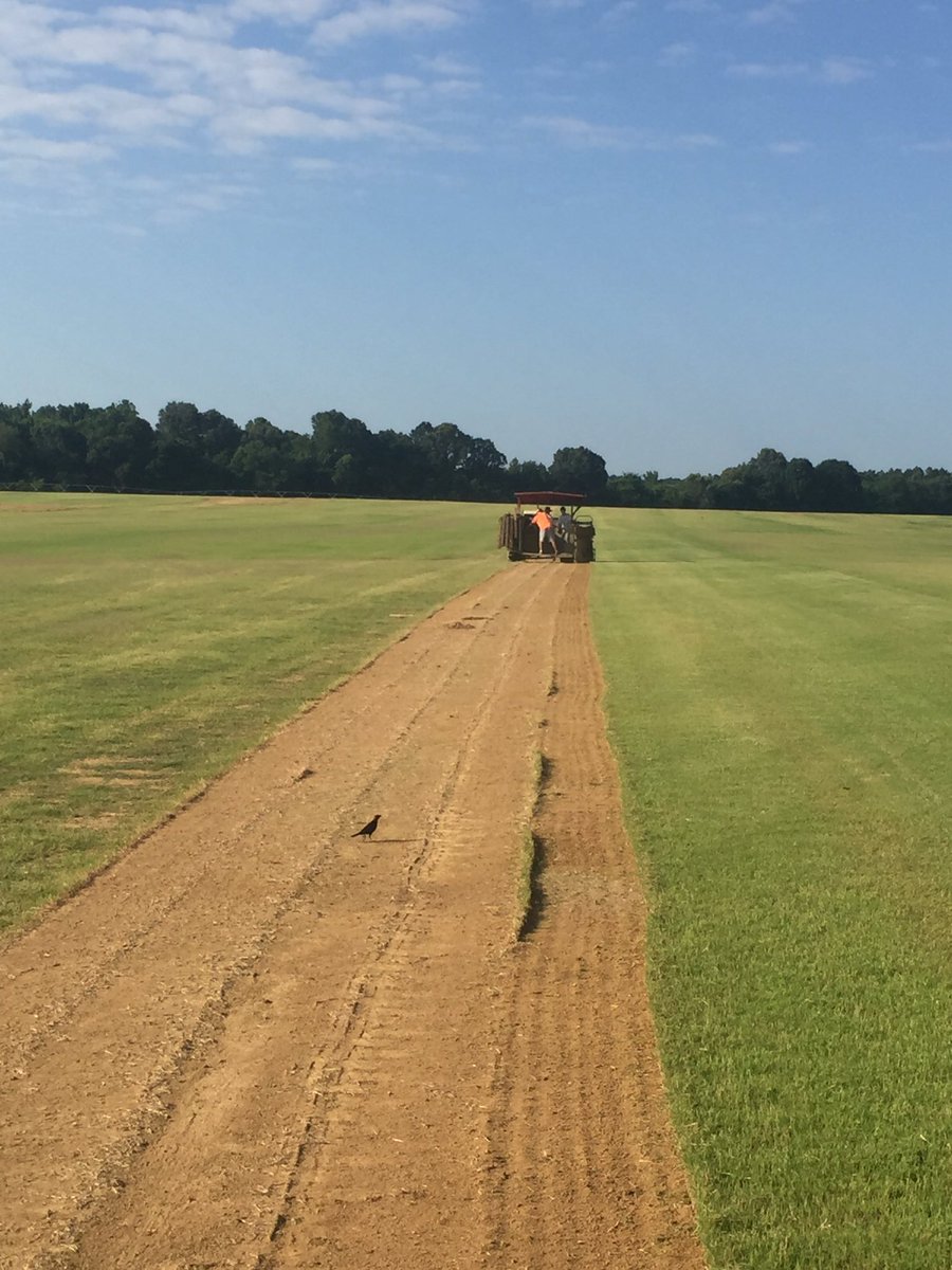 Doug Estes tweet media