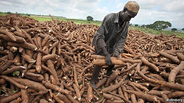 How will we feed 10 billion people? The future of farming is brighter than you might think: b-gat.es/1UC4vdc