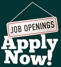 Shackletons Home & Garden tweet media