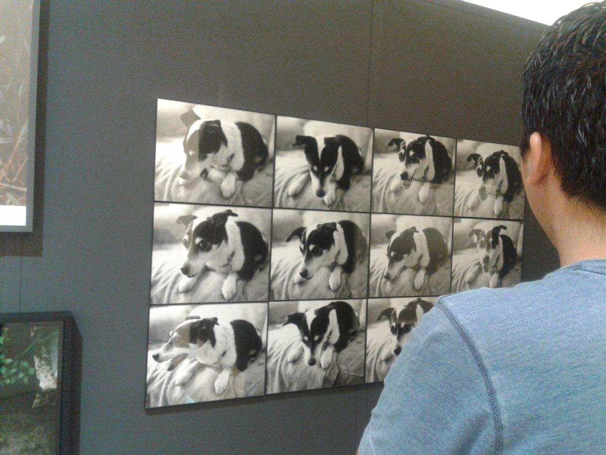 Malemoce20's tweet photo. Fotografías para todos los gustos. Visíta la exposición itinerante #CámaradeMaravillas en el @mamm https://t.co/b4T4oNCOiq