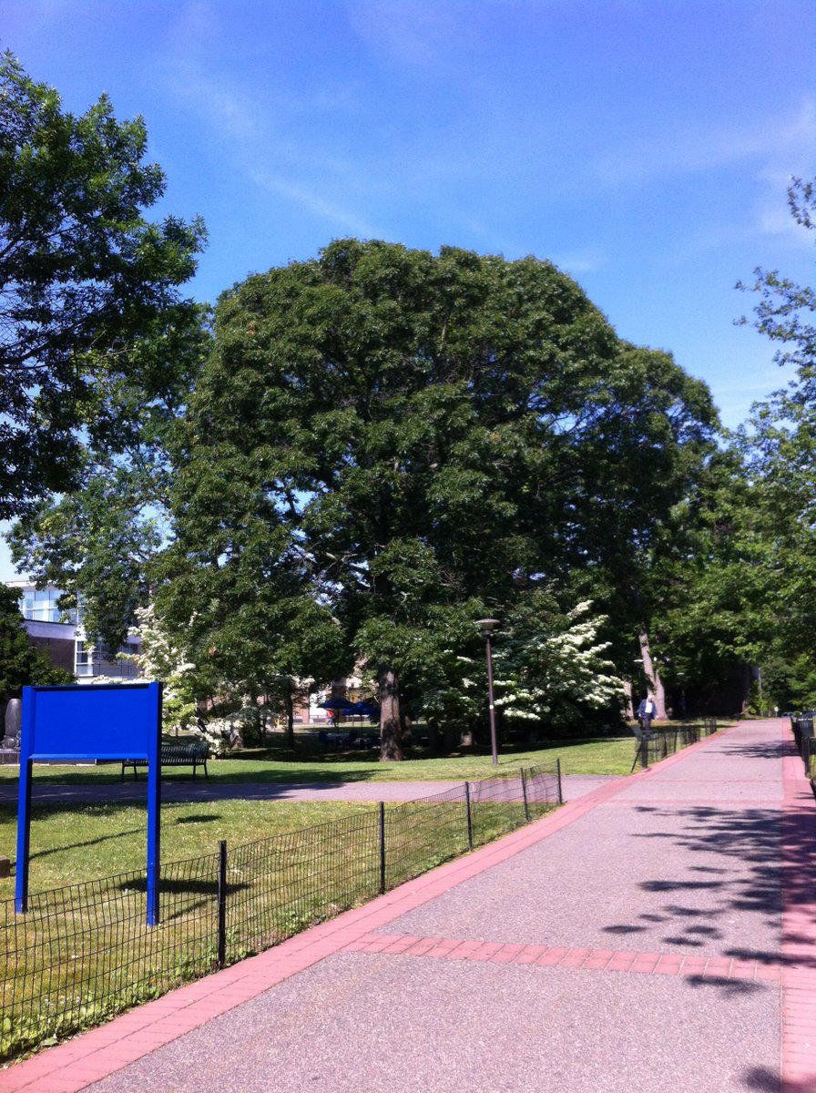 CEASSBU's tweet photo. Beautiful official start to summer on campus today! #sceneatsbu #SBUEngineers https://t.co/0mYUKRV4sb