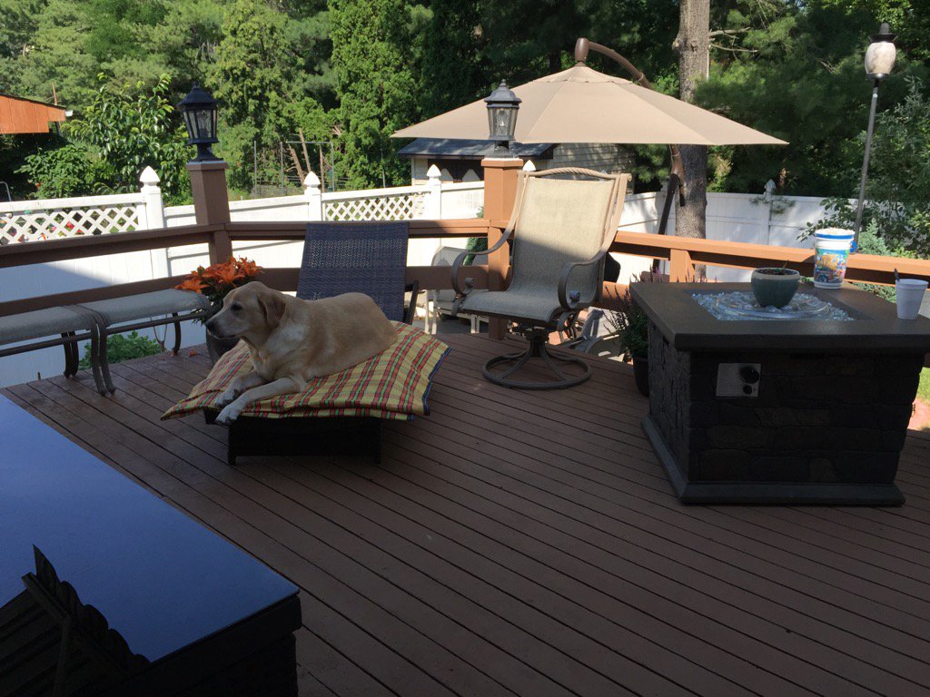 geecpua's tweet photo. #kcooper #outatthebackyard #FirstDayOfSummer #6/20/16 https://t.co/neWeTMr7bs