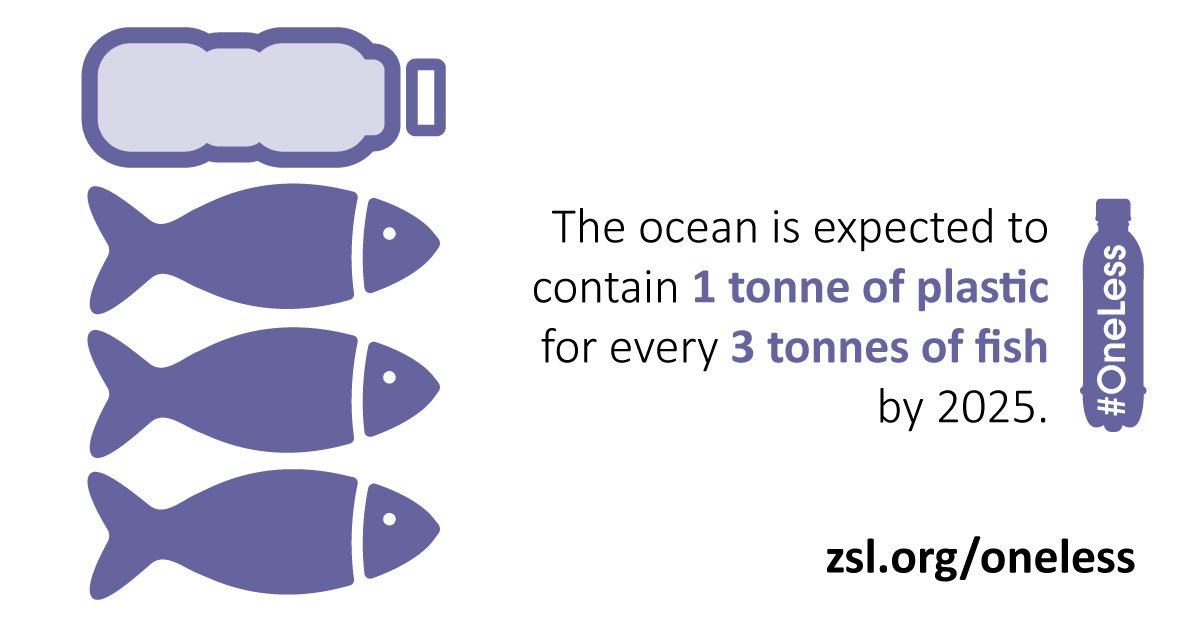 OneLessBTL's tweet image. #LoveLondon? Love our #ocean? Make the #OneLess pledge and switch to a refillable water bottle. #oceanoptimism