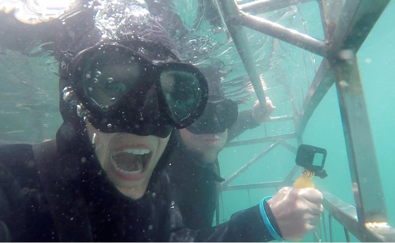 Een van haar 7 kooiduiken! #haaien #zuidafrika #kooiduik activityinternational.nl/Zuid-Afrika/Bi…