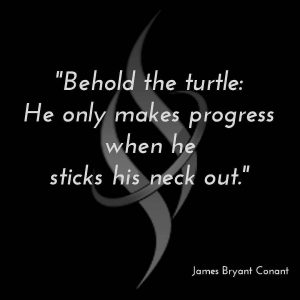 prosper2c's tweet image. 